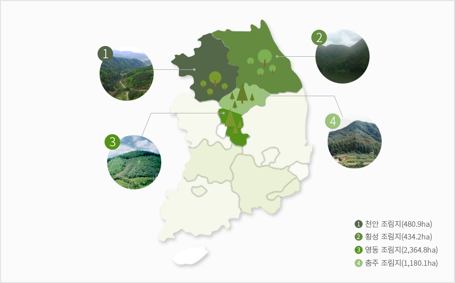 1.천안조림지(480.9ha) 2.횡성조림지(434.2ha) 3.영동조림지(2,364.8ha) 4.충주조림지(1,180.1ha) 